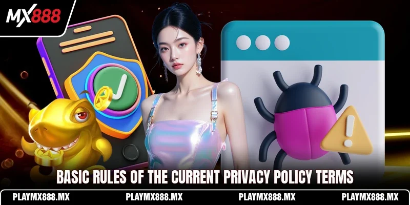 Basic rules of the current privacy policy terms