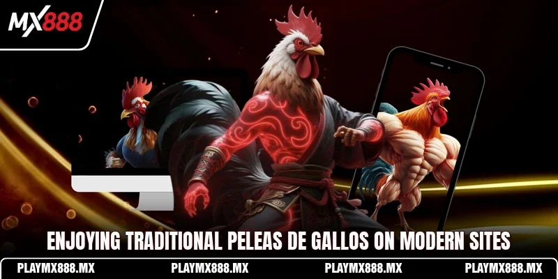 Enjoying traditional Peleas de Gallos on modern sites