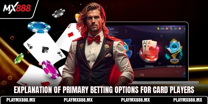 Explanation of primary betting options for card players