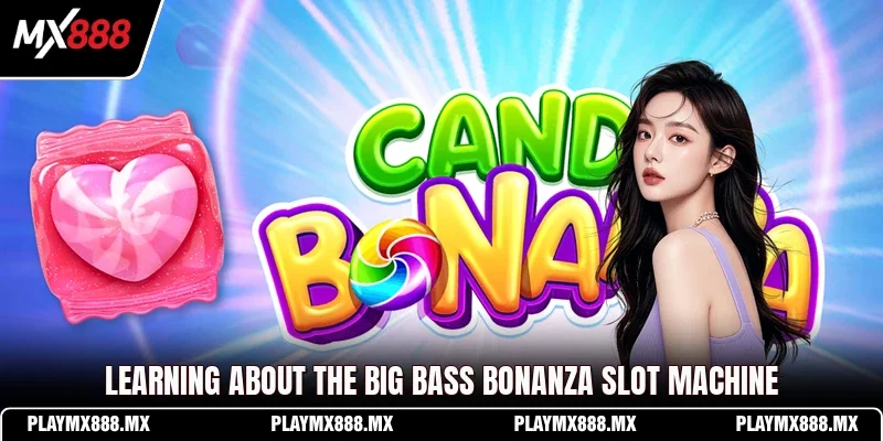 Learning about the Big Bass Bonanza slot machine