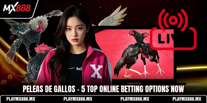 Predicting the main winners of major cockfighting tournaments